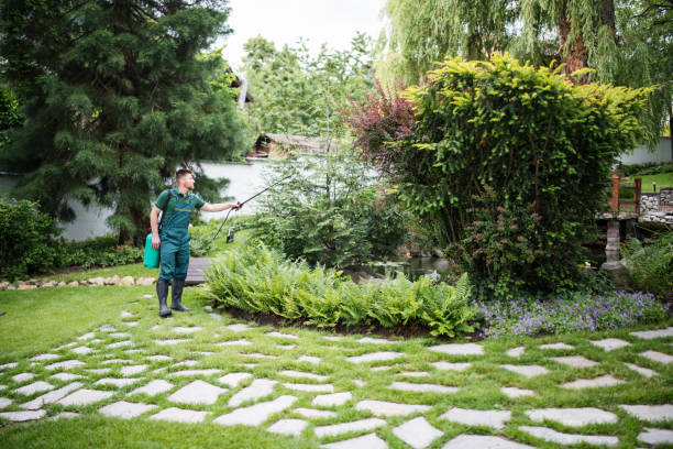 Wildlife Control Services in Thiells, NY
