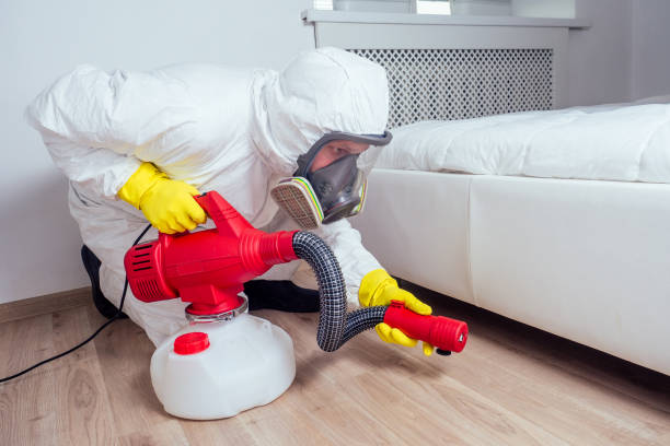 Best Rat Extermination Near Me  in Thiells, NY