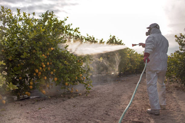 Best Pest Control Near Me  in Thiells, NY
