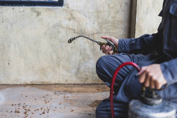 Pest Control Cost in Thiells, NY